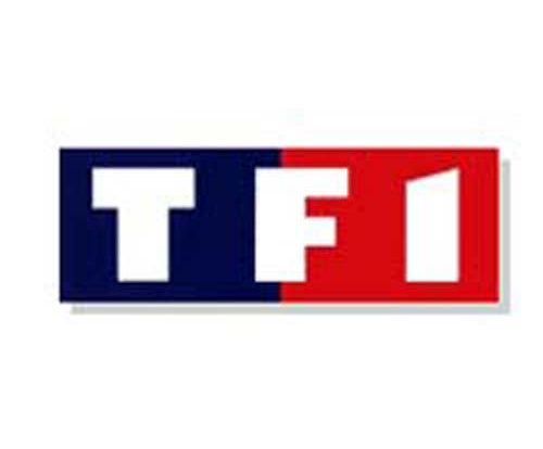 TF1 renouvelle son contrat avec Endemol, mais...