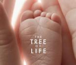 La bande-annonce de  The Tree of Life , en salles le 18 mai 2011, et sans doute en sélection au Festival de Cannes.