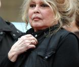 Brigitte Bardot a déposé une plainte mardi 12 avril contre deux Lituaniennes arrêtées pour mauvais traitement sur de nombreux chiens.