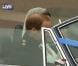Le Prince William et la Princesse Catherine font une sortie surprise en Aston Martin Volante, tout juste mariés, à Buckingham Palace, le 29 avril 2011