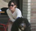 Rachel Bilson s'amuse avec son chien alors qu'elle déjeune au Little Dom's à Los Feliz le 15 avril 2011
 &nbsp; 