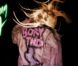 Lady Gaga : L'album Born This Way en intégralité déferle déjà sur la toile !