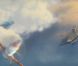 Des images de  Planes , en salles en 2013.
