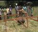 Nicolas dans Pékin Express 6 : la route des grands fauves, mercredi 15 juin sur M6.