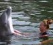 Julie s'amuse avec les dauphins dans les Anges de la télé-réalité 2 : Miami Dreams, sur NRJ 12 le 21 juin 2011.