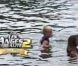 Les anges pendant leur rencontre avec les dauphins dans les Anges de la télé-réalité 2 : Miami Dreams, sur NRJ 12 le 21 juin 2011.