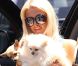 Paris Hilton : Surprise embrassant le producteur de Very Bad Trip ?