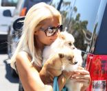 Paris Hilton se promène à Los Angeles avec ses deux chiens, vendredi 1er juillet.