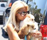 Paris Hilton se promène à Los Angeles avec ses deux chiens, vendredi 1er juillet.