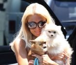 Paris Hilton se promène à Los Angeles avec ses deux chiens, vendredi 1er juillet.
