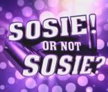  Sosie ! Or not sosie ?  samedi 9 juillet sur TF1 à 20h45 !
