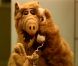 Flashback : Alf ! Kate, Willy, Lynne, Brian, et Alf... Que sont-ils devenus ?