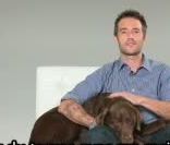 Michael Vartan, héros d'Alias et Hawthorne, montre l'exemple aux parents