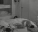 Les jumeaux dorment avec Morgane dans Secret Story 5
