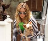 Hilary Duff à Los Angeles, vendredi 26 août 2011, planquée derrière ses  lunettes fumées, regagnant son domicile en compagnie de son petit  yorkshire.