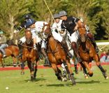 La Deauville Polo Cup qui s'est déroulée à Deauville du 30 juillet au 28 août. Ici, lors de la Coupe d'or, le 28 août 2011 