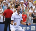 Mené deux sets à rien, Novak Djokovic a renversé la situation et sauvé deux balles de match pour priver Roger Federer de finale à l'US Open 2011 et tenter de prendre sa revanche sur Nadal. 