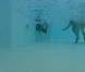 Epreuve des jetons dans la piscine dans Secret Story 5