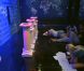 Tous les Secretistes s'y mettent dans Secret Story 5