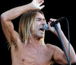 Le chanteur Iggy Pop en plein live en Angleterre, le 11 juin 2011.<br />