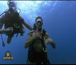 Teheiura en plongé dans Koh Lanta, jeudi 10 novembre 2011, sur TF1
