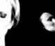 Image extraite du teaser du spectacle et de l'album que prépare Patricia Kaas sur Édith Piaf, dévoilé au Midem à Cannes, le 29 janvier 2012.