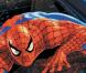 Tobey Maguire pris au piège dans la toile d'araignée ?