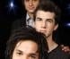 BB Brunes