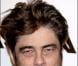 Benicio Del Toro