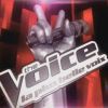 The Voice 2 : gagnant, candidats, finale