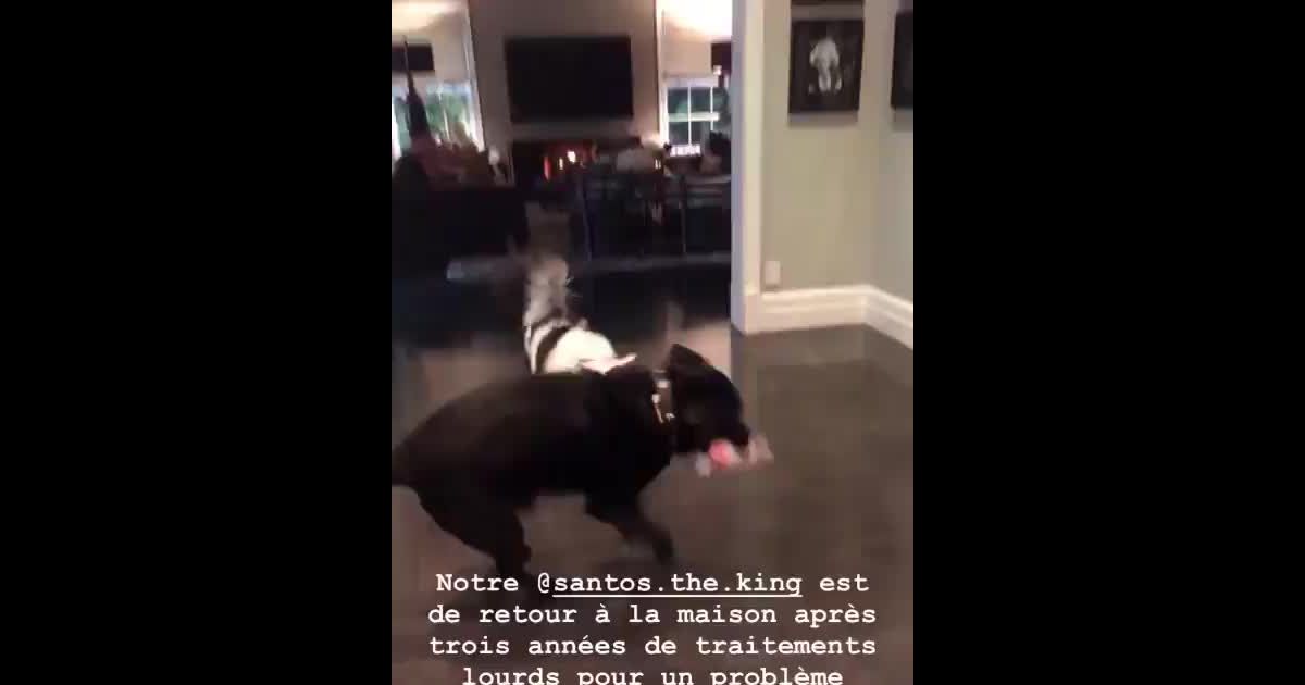 Laeticia Hallyday Heureuses Retrouvailles Avec Un Membre De La Famille Purepeople
