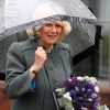 La météo était effectivement pluvieuse ! En visite dans les studios de la BBC Ecosse à Glasgow, qui fête ses 60 ans d'existence, le prince Charles et Camilla Parker Bowles, connus comme duc et duchesse de Rothesay en Ecosse, se sont faits présentateurs météo, le 10 mai 2012 !