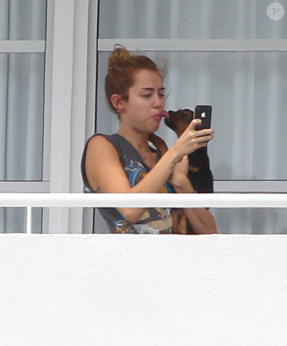 Miley Cyrus fait un bisou à son chien, depuis la terrasse de son hôtel, le jeudi 17 mai à Miami.