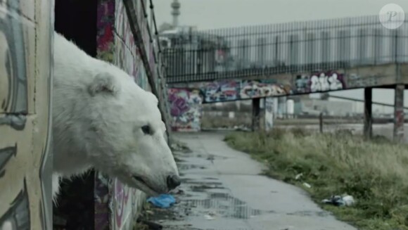 Image de la campagne Save The Artic de Greenpeace, 2012.