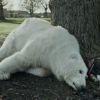 Image choc de la campagne Save The Artic de Greenpeace, 2012.