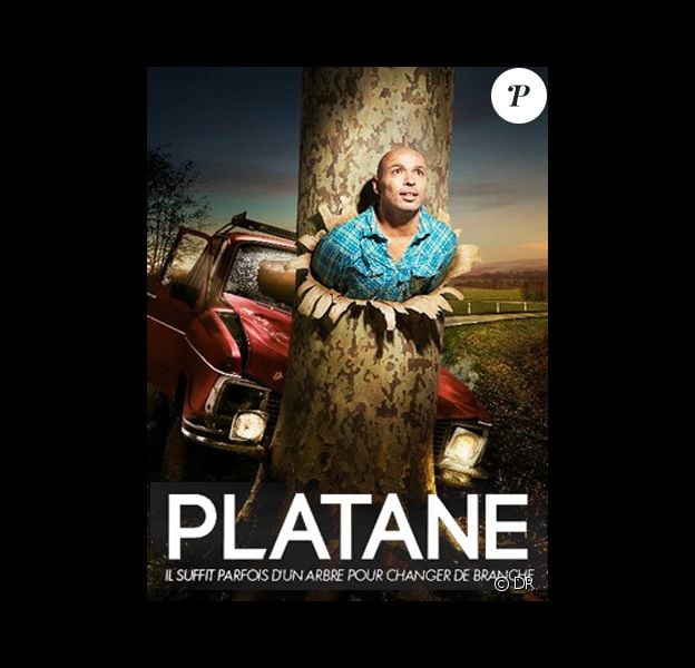 Platane, prochainement sur Canal+.