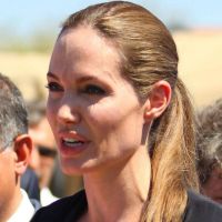 Angelina Jolie fait l'unanimité dans son combat quand Brad Pitt divise