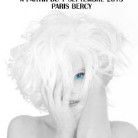 Mylène Farmer, Timeless 2013 : Sa tournée la plus ambitieuse