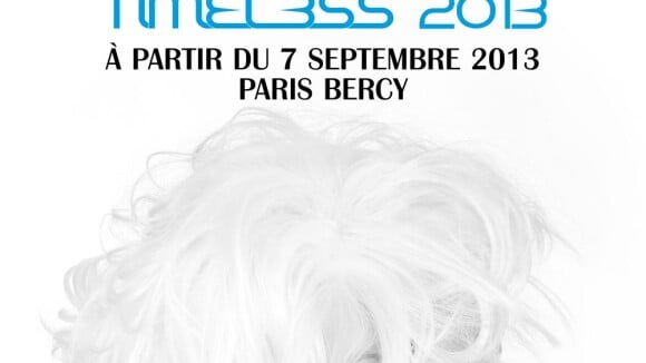 Mylène Farmer, Timeless 2013 : Sa tournée la plus ambitieuse