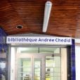 Le chanteur Matthieu Chedid et Louis Selim Chedid lors de l'hommage à Andrée Chedid, décédée le 6 février 2011, qui donne son nom à la bibliothèque Beaugrenelle à Paris, le 19 novembre 2012.