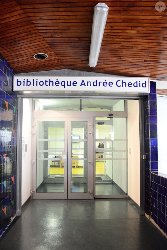 Le chanteur Matthieu Chedid et Louis Selim Chedid lors de l'hommage à Andrée Chedid, décédée le 6 février 2011, qui donne son nom à la bibliothèque Beaugrenelle à Paris, le 19 novembre 2012.