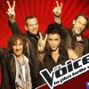 Florent Pagny, Jenifer, Louis Bertignac et Garou ont tous signé pour la deuxième saison de The Voice.