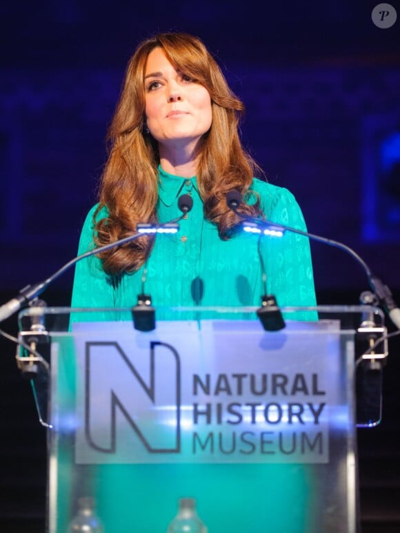 Kate Middleton, duchesse de Cambridge, présidait le vernissage de l'exposition Trésors (Treasures) au Musée d'histoire naturelle de Londres le 27 novembre 2012, dans une robe Mulberry et avec une nouvelle coupe de cheveux.