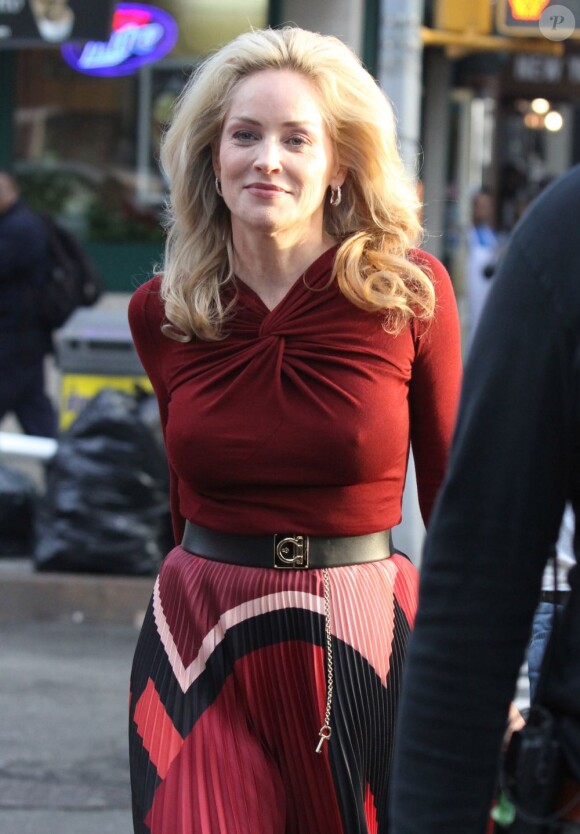 Sharon Stone sur le tournage du film Fading Gigolo à New York, le 3 décembre 2012