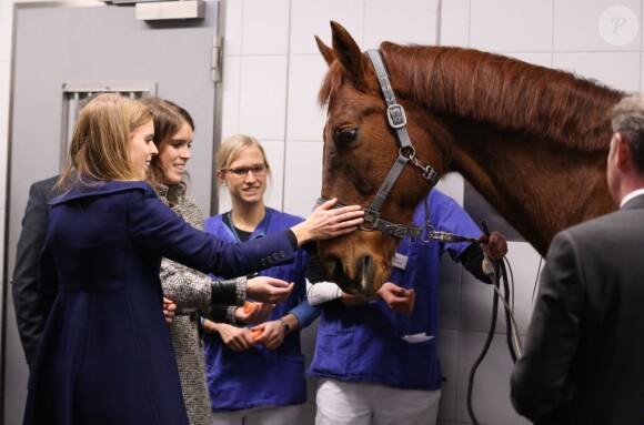 Les princesses Beatrice et Eugenie d'York avec le cheval Ben lors d'une visite à l'Université de médecine vétérinaire de Hanovre, le 18 janvier 2013 dans le cadre de leur visite officielle de deux jours pour soutenir la campagne promotionnelle en faveur de la Grande-Bretagne, GREAT.