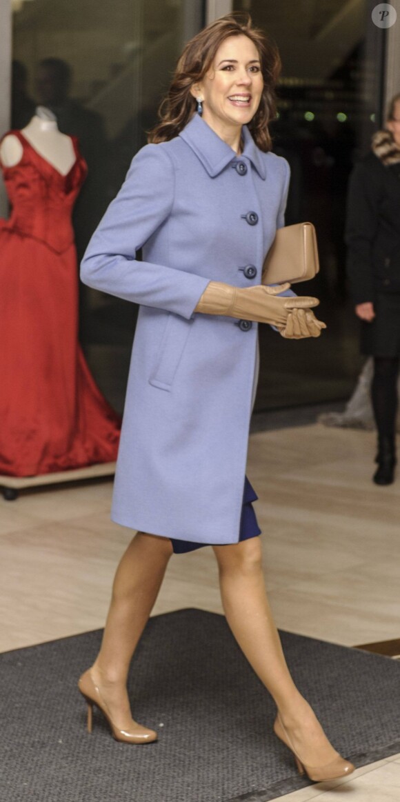 La princesse héritière Mary de Danemark présidait le 4 février 2013 la cérémonie de remise du Prix d'honneur de la Société danoise du cancer au Dr. Torben Palshof, à l'Opéra de Copenhague.