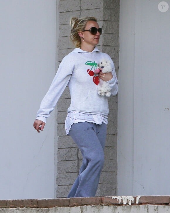 Britney Spears, accompagnée de ses enfants, emmène son chiot chez le vétérinaire à Los Angeles, le 18 février 2013.