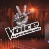 The Voice 2 : dernières auditiions à l'aveugle samedi 8 mars 2013 sur TF1