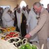 Le prince Charles a visité une ferme au Qatar, le 15 mars 2013.