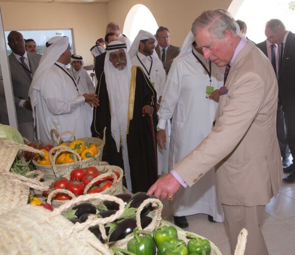 Le prince Charles a visité une ferme au Qatar, le 15 mars 2013.